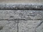 Montpeller<br> La majoria dels antics edificis presenten traces força visibles de la sedimentació marina que componen els seus blocs de pedra. El seu tacte i temperatura és diferent a la resta de materials comuns Autor: Jordi Bibià Montpeller<br> La majoria dels antics edificis presenten traces força visibles de la sedimentació marina que componen els seus blocs de pedra. El seu tacte i temperatura és diferent a la resta de materials comuns Autor: Jordi BibiÃ