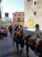XXè festival Terra de Trobadors<br>Castelló d'Empúries: Passejades en burro. Autor: Jordi Bibià XXè festival Terra de Trobadors<br>Castelló d'Empúries: Passejades en burro. Autor: Jordi Bibià