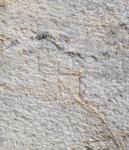 Tipologia de creus II<br>Palau dels Reis de Mallorca. Perpinyà: Esvàstica. Autor: Jordi Bibià Tipologia de creus II<br>Palau dels Reis de Mallorca. Perpinyà: Esvàstica. Autor: Jordi Bibià