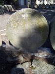 Les esteles funeràries discoïdals de Sanaüja<br>: Creu botonada. Autor: Jordi Bibià Balada Les esteles funeràries discoïdals de Sanaüja<br>: Creu botonada. Autor: Jordi Bibià Balada