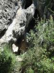 La cova de Betlem<br>: Autor: Jordi Bibià La cova de Betlem<br>: Autor: Jordi Bibià
