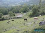 ROCAFIXADA. País de Foix (Arièja)<br>Rocafixada: Activitats que no canvien. Autor: Jordi Bibià ROCAFIXADA. País de Foix (Arièja)<br>Rocafixada: Activitats que no canvien. Autor: Jordi Bibià