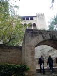 Palma de Mallorca<br>: Autor: Jordi Bibià Palma de Mallorca<br>: Autor: Jordi BibiÃ