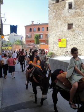 11.9.2010 Passejades en burro.             Castelló d'Empúries -  Jordi Bibià