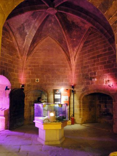 29.7.2018 Exposició dedicada a la vida del castell.  Castell de Foix -  Jordi Bibià