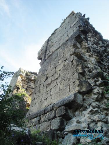 2.8.2018 Panys de paret del castell.  Rocafixada -  Jordi Bibià