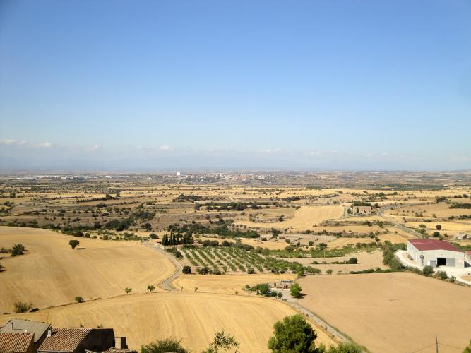 1.8.2019 Cervera a l'horitzó.  Granyena de Segarra. -  Jordi Bibià