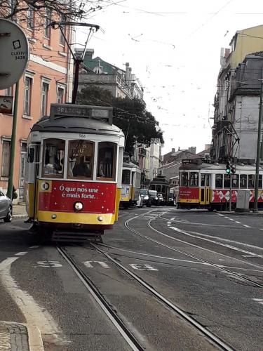 26.1.2020   Lisboa -  Jordi Bibià