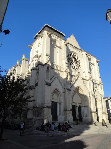 • SANT ROC, UN SANT MONTPELLERÍ