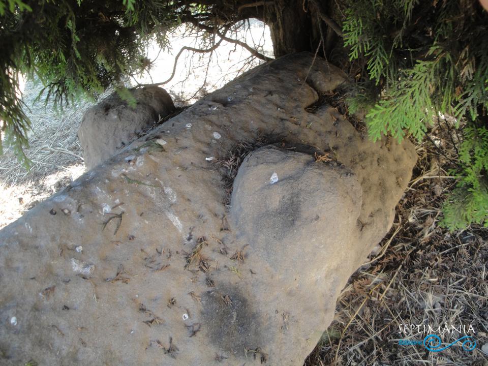 27.8.2021 Curiosa tapa d'enterrament amb unes extranyes protuberàncies esfèriques als dos laterals.  Cementiri del Priorat de Santa Maria de Castellfollit de Riubregós. -  J. Bibià