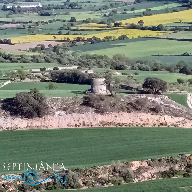 13.4.2024 Vista des del castell de les restes d'una torre de defensa.  Granyena de Segarra. -  J, Bibià