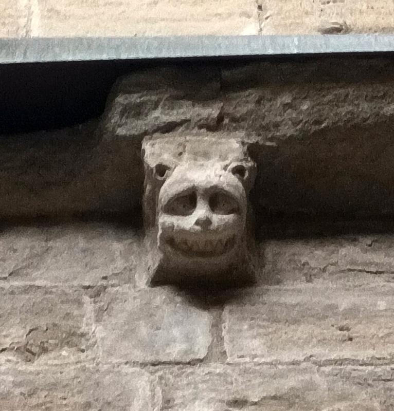 SOLSONA: QUE VE EL LLOP