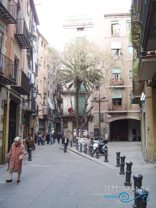 16.8.2025 Plaça de la Llana.  -  J. Bibià