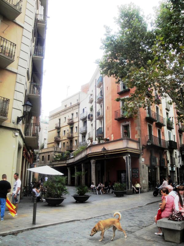 17.8.2025 Carrer Rec Comtal.  -  J. Bibià