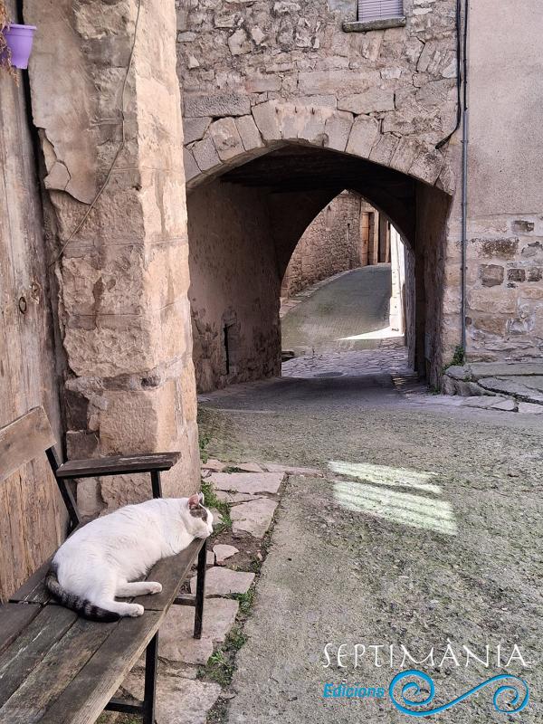 12.4.2026 Descans gatonesc a Guimerà.  Guimerà. -  J. Bibià