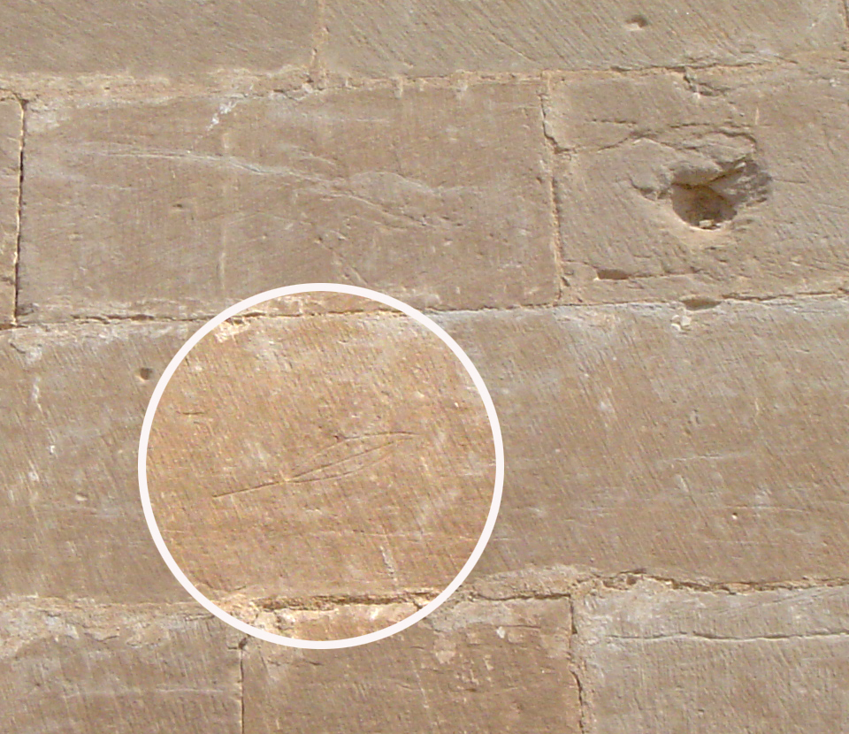 06.08.2008 Grafit d'una fulla o ploma localitzada en un dels murs de la Porta dels Apòstols.  Seu Vella de Lleida -  Jordi Bibià