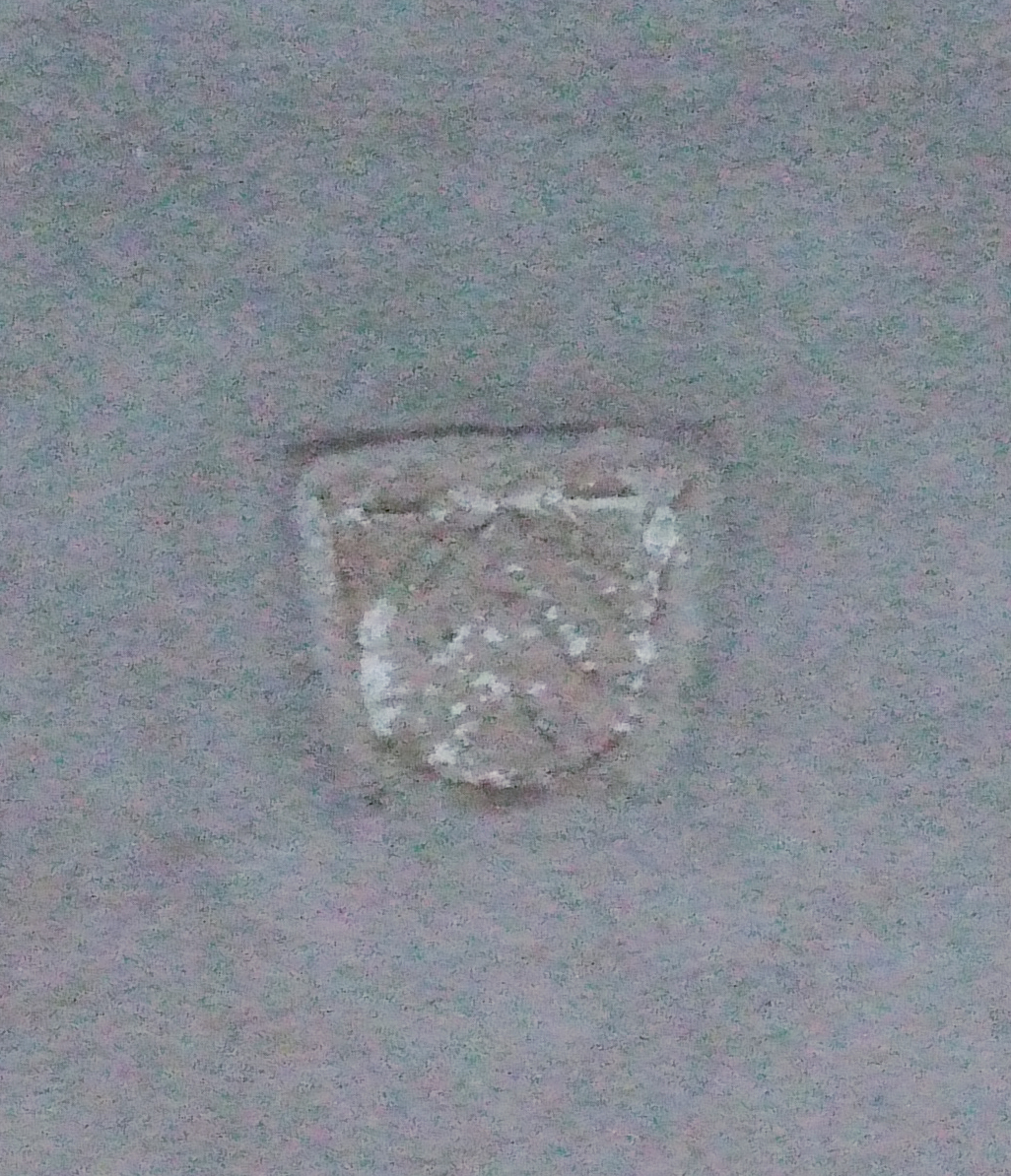26.03.2008 L'escut de Levis-Mirepoix (Miralpeix), a l'antiga entrada de l'actual església de Montsegur.            Montsegur -  Jordi Bibià
