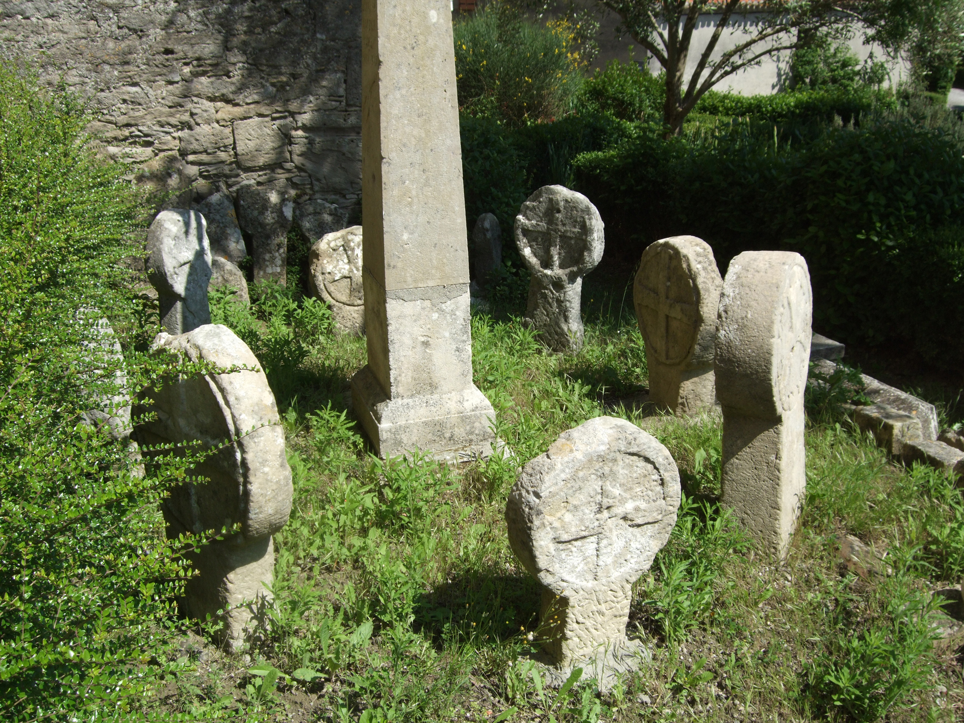 27.08.2010 Grup d'esteles funeràries.  Peixora -  Jordi Bibià