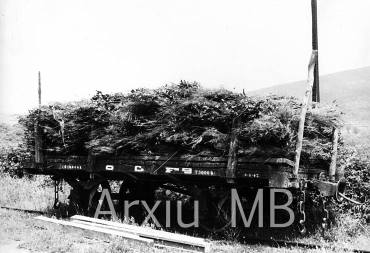 24.09.2014 El tren d'Olot. Vagó plataforma.  -  Miquel Bibià Laplana