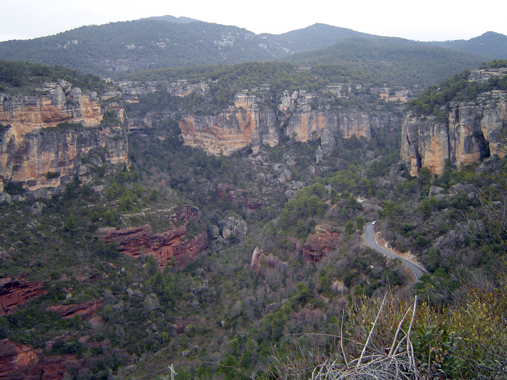 06.05.2017   Serra de Prades -  Jordi Bibià