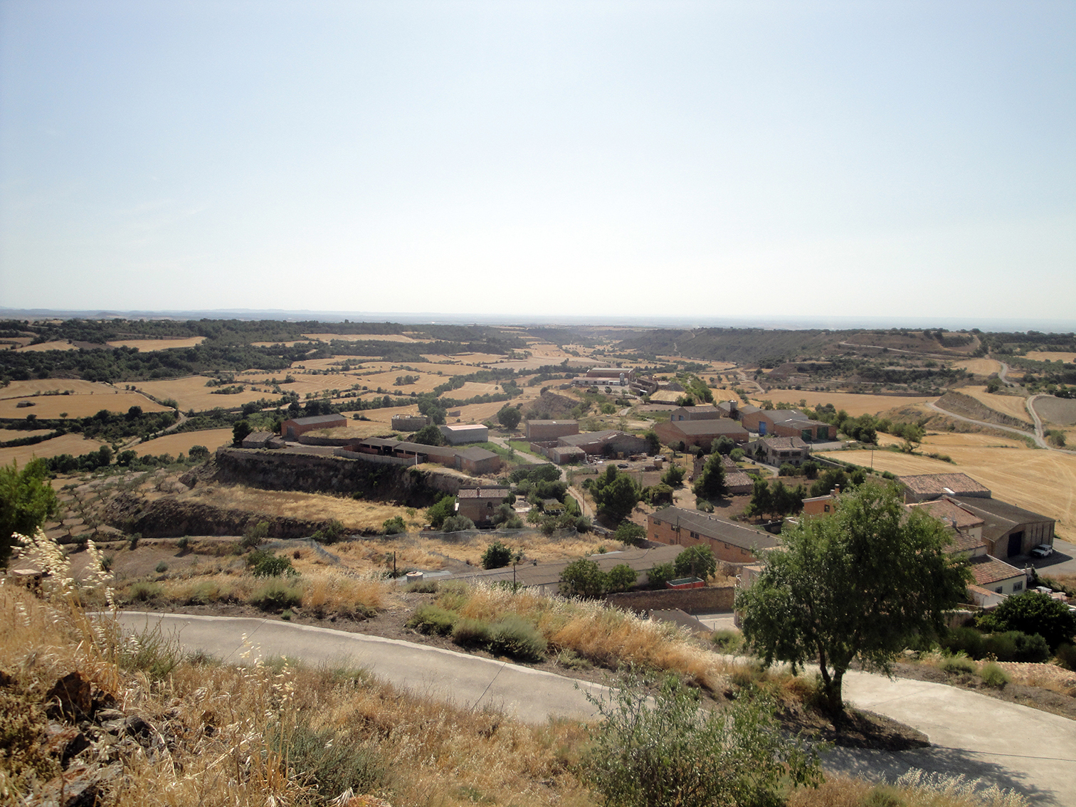 01.08.2019 Les vistes són excepcionals. Direcció a Verdú.  Granyena de Segarra. -  Jordi Bibià