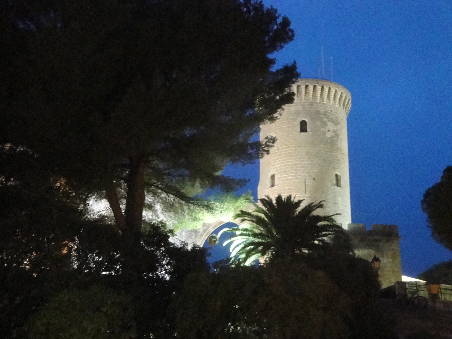 26.12.2019 Castell de Bellver  -  Jordi Bibià