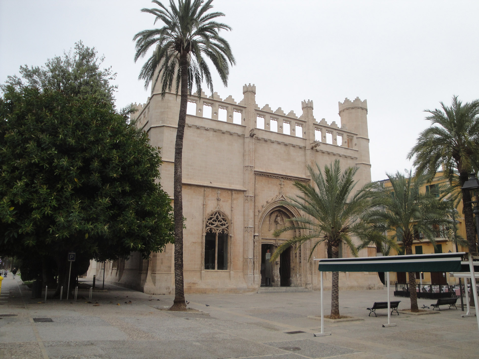 29.01.2020 La Llotja.  Palma -  Jordi Bibià